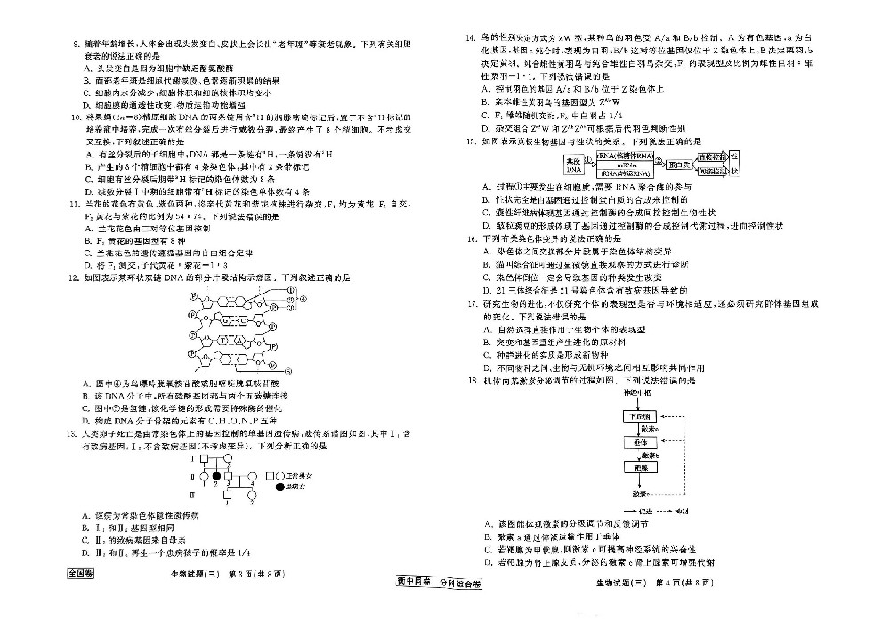 生物_09.jpg