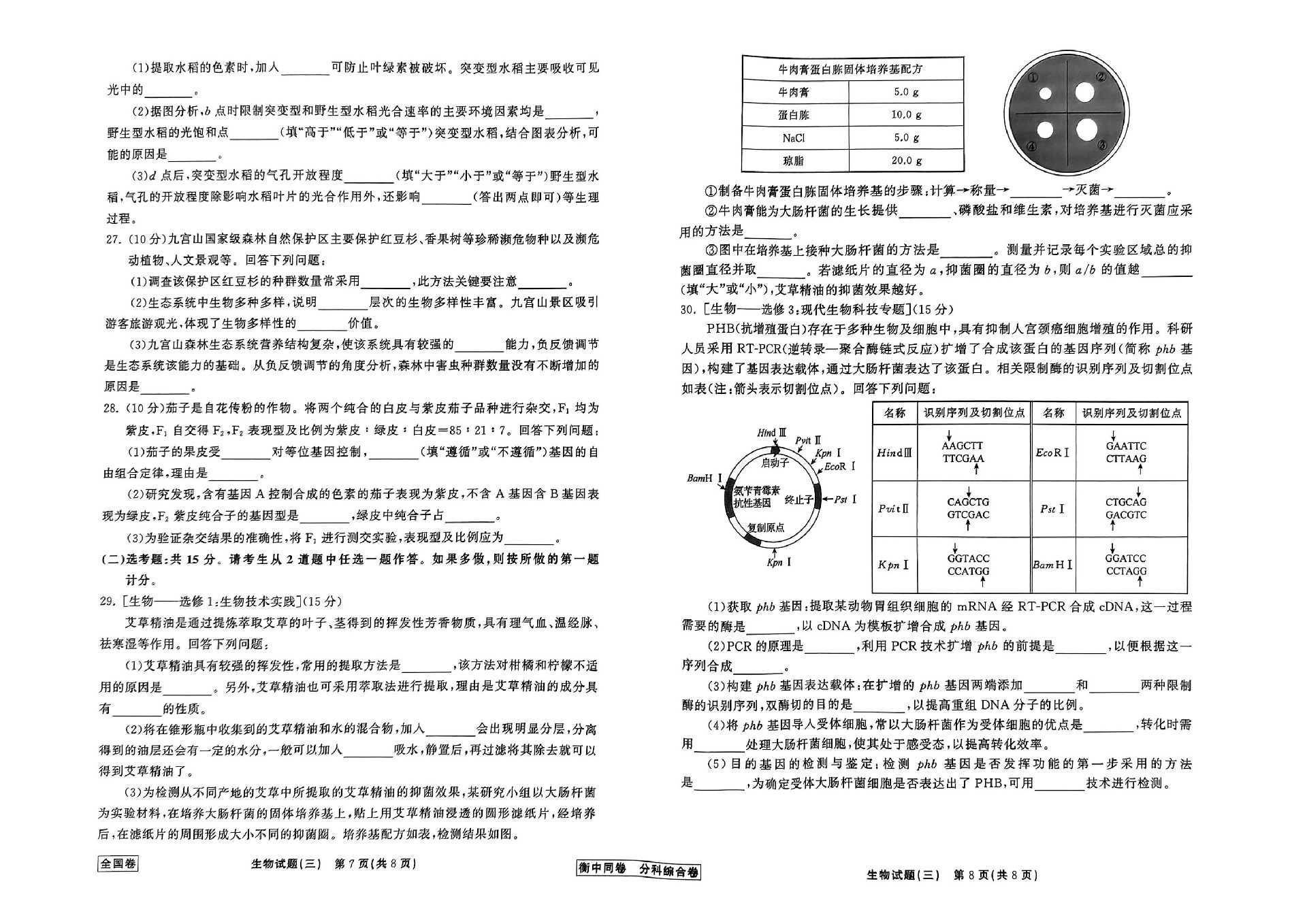 生物_11.jpg