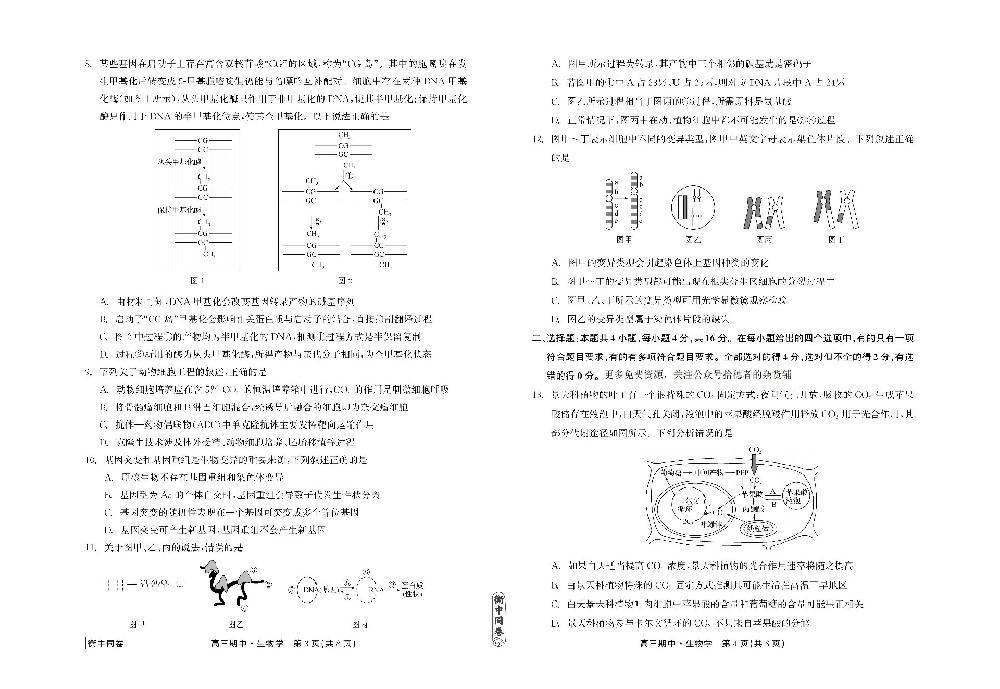 23-24生物上学期高三期中衡中试卷正文_01.jpg