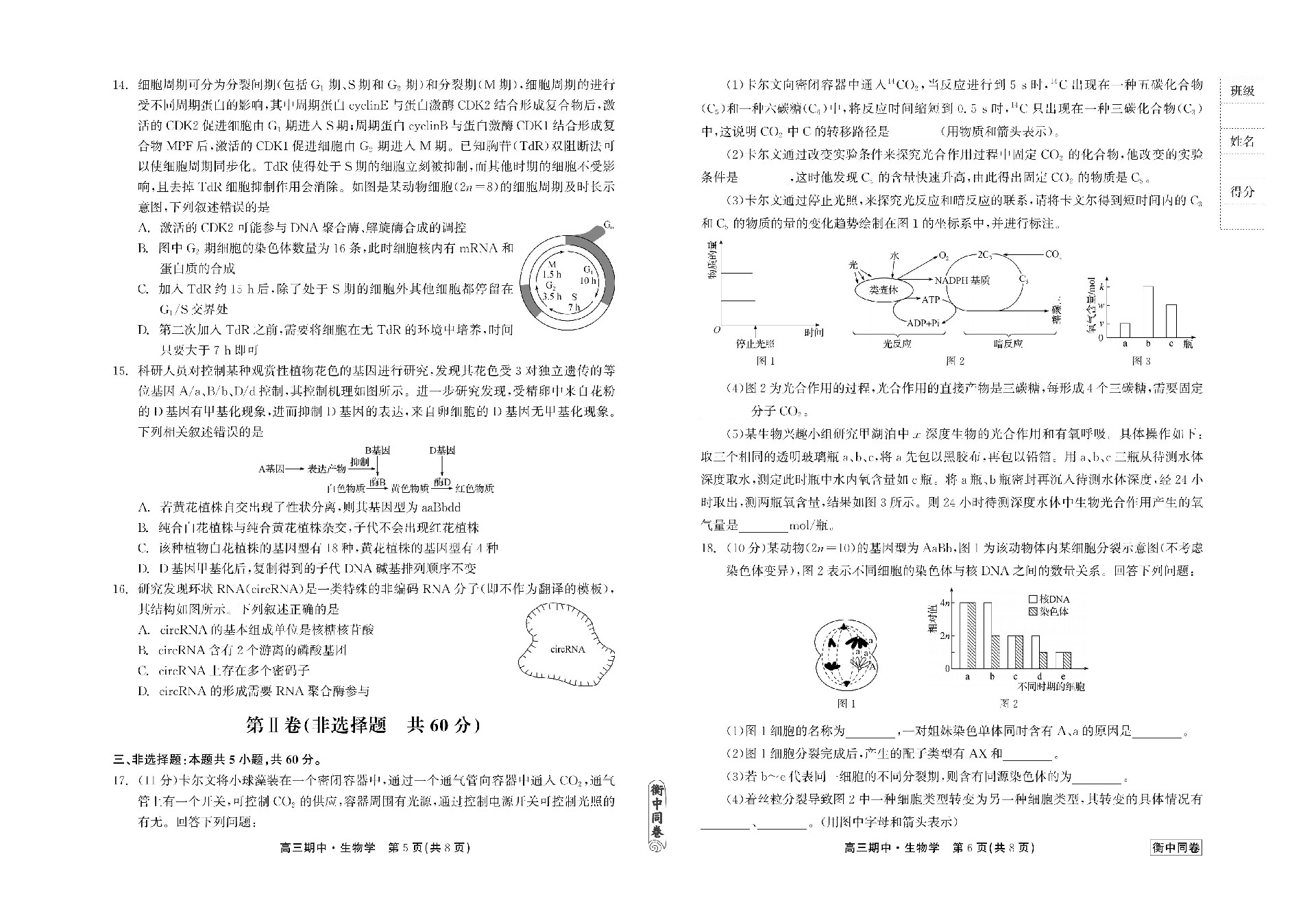 23-24生物上学期高三期中衡中试卷正文_02.jpg