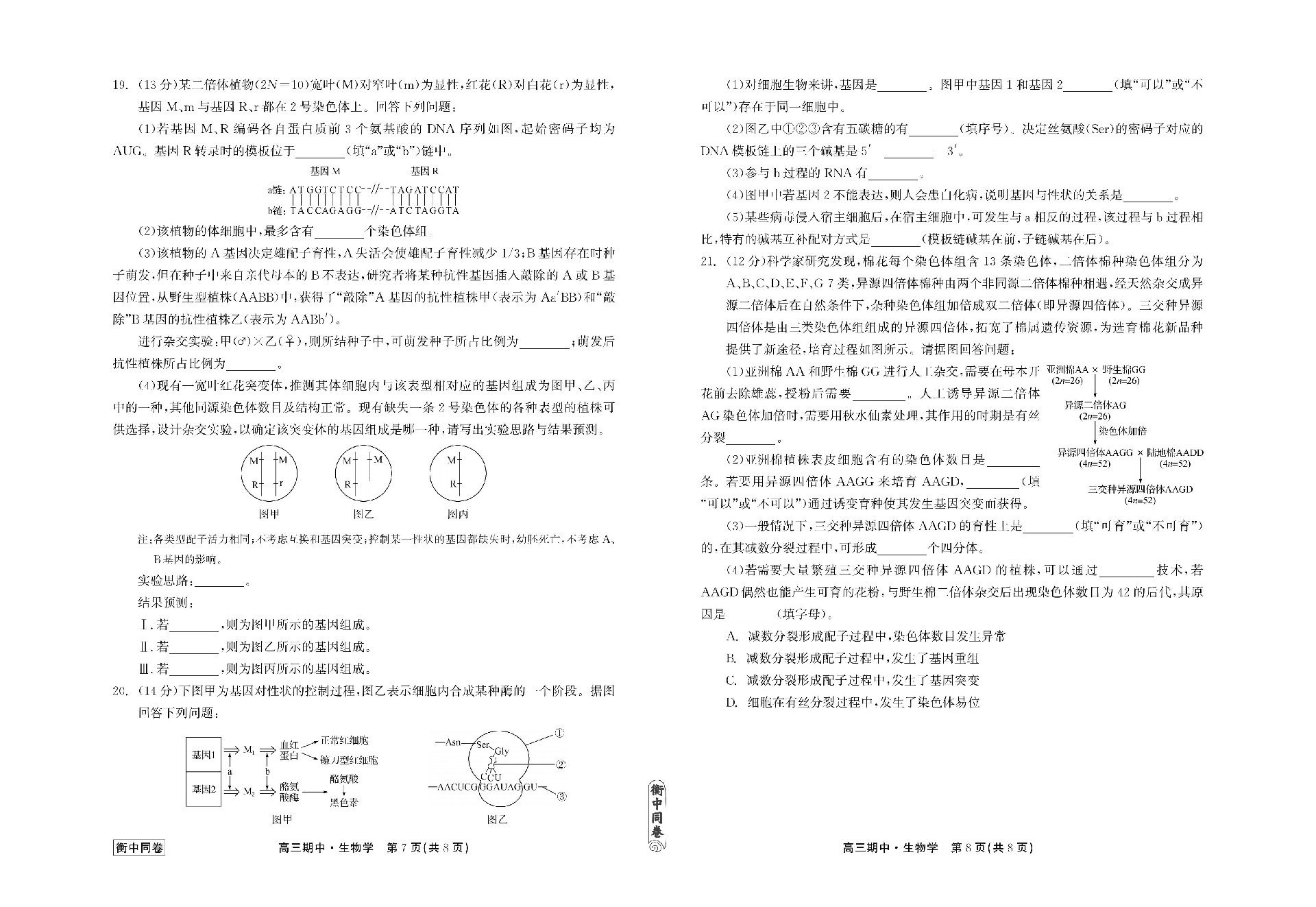 23-24生物上学期高三期中衡中试卷正文_03.jpg