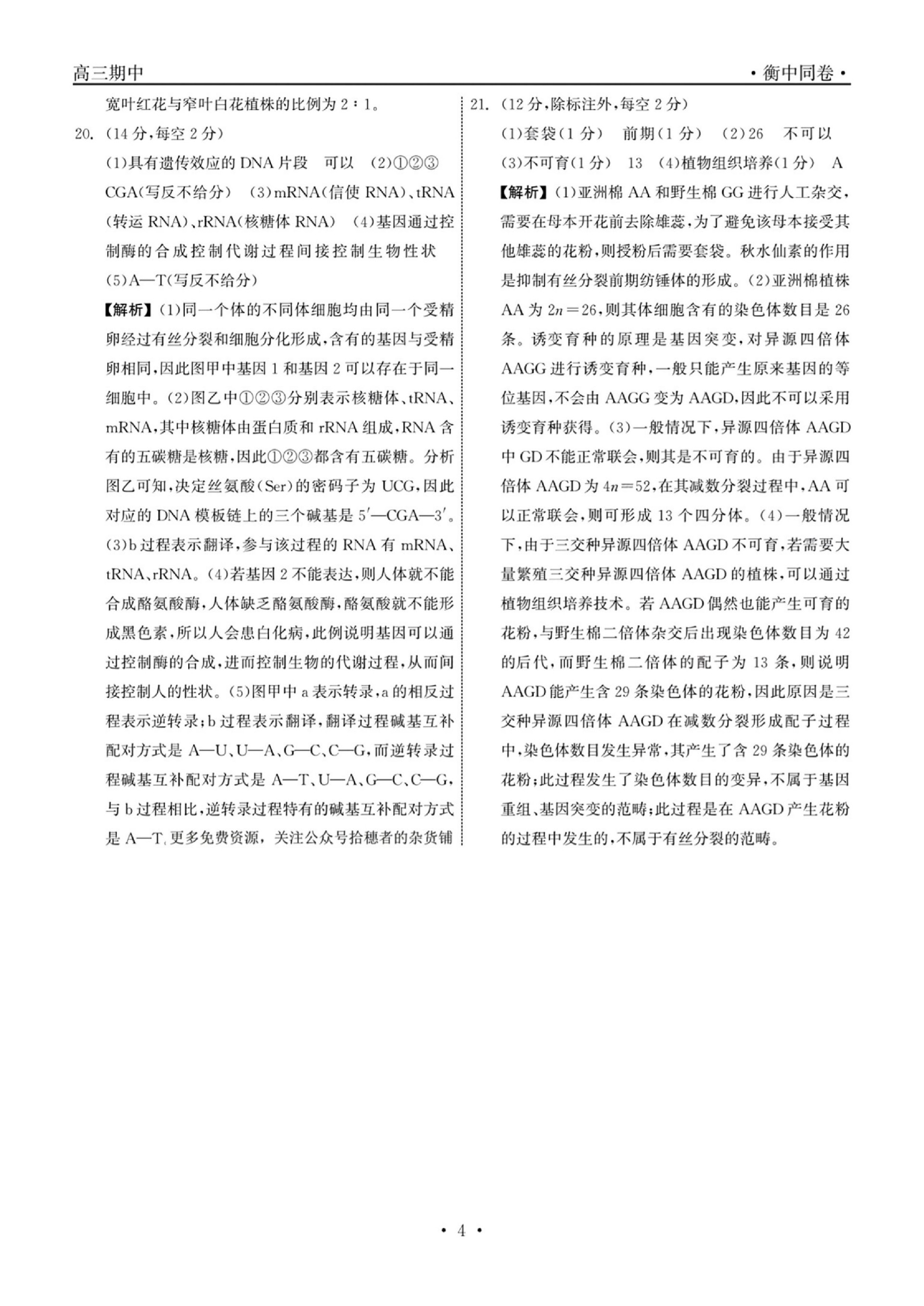 衡中同卷24高三期中生物答案_03.jpg
